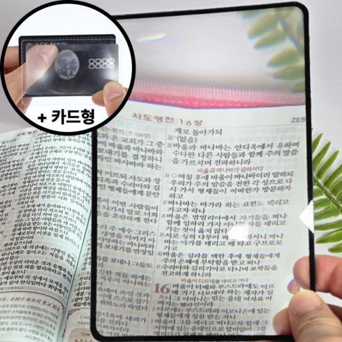 번쩍번쩍몰 독서 휴대용 확대경, 1개