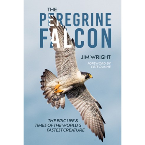 (영문도서)The Peregrine Falcon: The Epic Life and Times of the World's Fastest Creature Hardcover, Schiffer Publishing, English, 9780764371219 Schiffer Publishing, English, 9780764371219