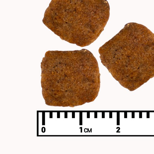 베기도그 채식사료.하이러알러지 1.2kg 인섹트도그 이미지 4