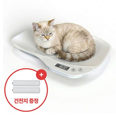 집똑똑이 강아지 고양이 미니 체중계 + 건전지, 1개, 화이트, 단일