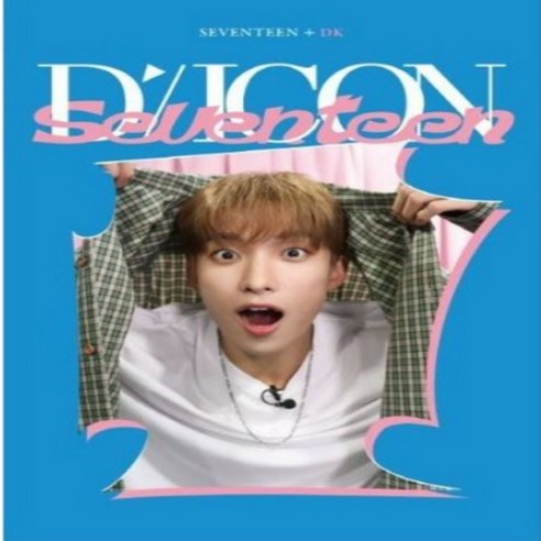 [도겸DK버전]세븐틴SEVENTEEN DICON 디아이콘 디페스타 포토북 포토카드 미니에디션
