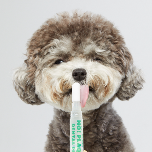 (사선형)몽세펫 프리미엄 양치펜 칫솔 치석/입냄새제거 치약/강아지 고양이... 솔직 후기 | 실제 사용자 리뷰 총정리 - 상품 이미지 3