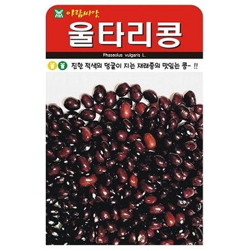 아람종묘 울타리콩 씨앗 30g 넝쿨성 재래종 울타리콩씨 종자, 1개