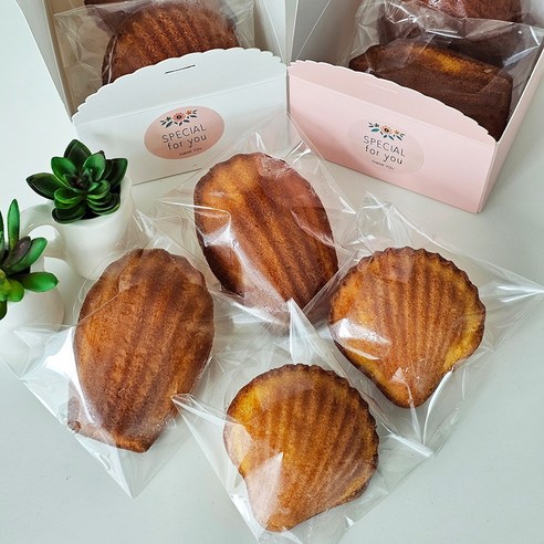 더 이상 눅눅함은 없다 달콤한 홈베이킹의 새로운 기준