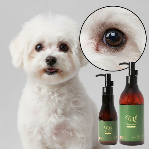 에코펫 반려동물 캐나다 물개오일 300ml 강아지 눈물자국 완화 영양제 루테인 오메가오일 노견, 1개