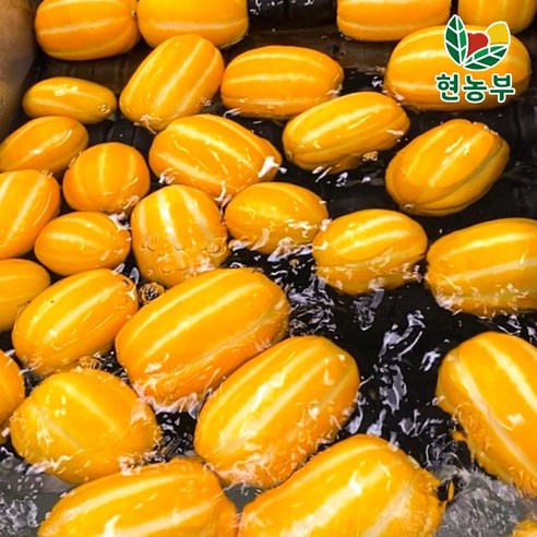 꿀처럼 달콤한 성주 참외, 지금 바로 맛보세요!