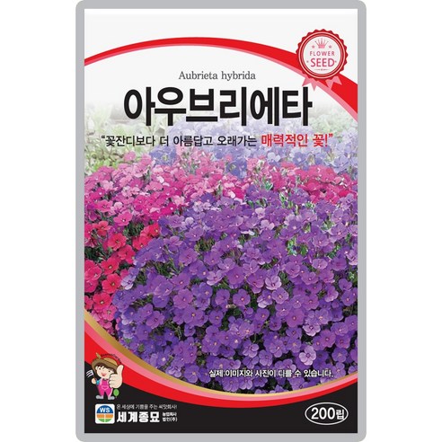 아우브리에타 꽃씨앗 200립 아름답고 오래가는 매력적인 다년생 꽃씨 종자, 1개
