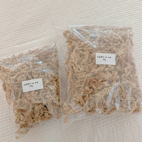 뉴질랜드산 5A 수태 크레 습식은신처 도마뱀 수태 크레습은 건조수태 산란... 솔직 후기 | 실제 사용자 리뷰 총정리 - 상품 이미지 4