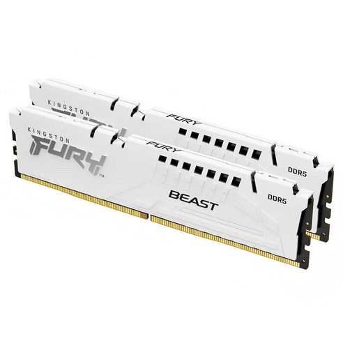 Kingston 와일드 일렉트릭 DDR5 5600MHz 데스크톱용 램 16GB 화이트 2개입, 1세트, KF552C40BWK2