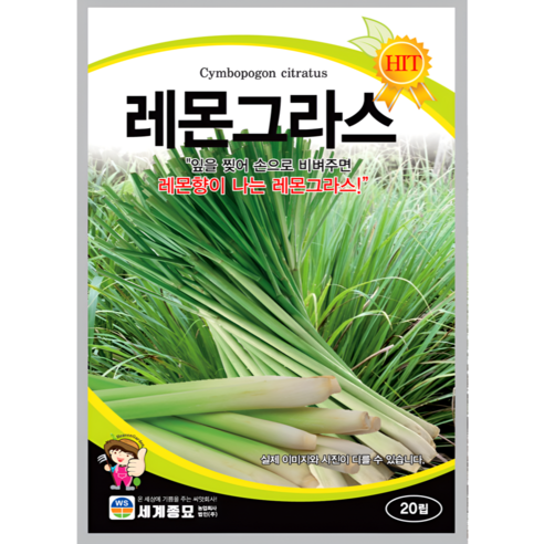 세계종묘 레몬그라스 20립 일반종 레몬향 식용꽃 허브 꽃씨 씨앗 종자 세계, 1개