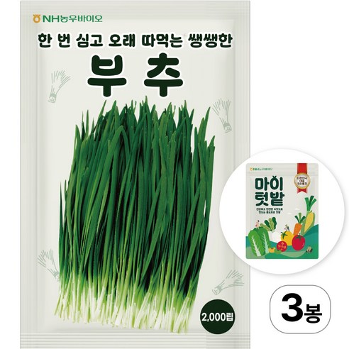 NH농우바이오 부추 씨앗 종자 2000립, 3개