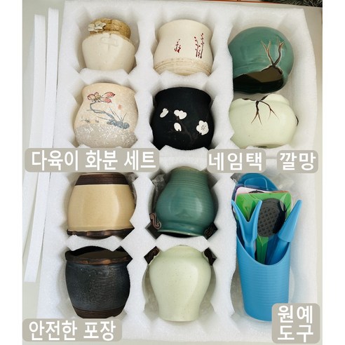 우리 집 창가에 작은 행복을 심는 법 다육이화분