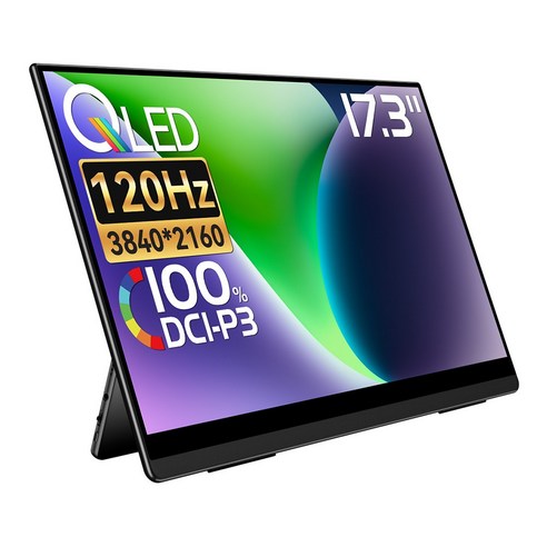 EHOMEWEI 이홈웨이 R시리즈 16 17.3 18인치 OLED QLED IPS 4K 2.5K 휴대용 모니터 DCI-P3 120Hz 265Hz 게이밍 맥북 듀얼모니터, RQG-173PU, 43.94cm