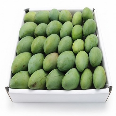 Thomy 베트남 베이비 그린망고 800g 1.2~1.3kg 1.5kg 2.5kg 5kg (Xoai hat lep), 베이비 2.5KG(..., 1개