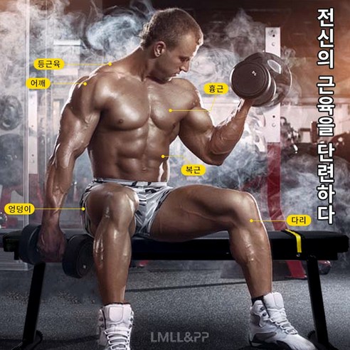 LMLL&PP 접이식 평벤치 3in1 폴딩 벤치프레스 플랫벤치 인클라인벤치 헬스 홈트레이닝 덤벨 바벨 운동 025 튼튼 평벤치 이미지 2