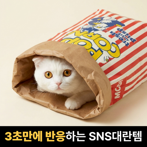 메종드닷 예쁜사진 본능자극 바스락 고양이 봉투 하우스, 1개, 팝콘