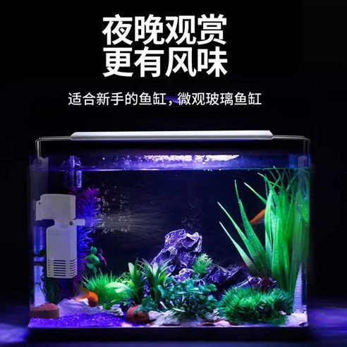 당신의 책상 위에 작은 생명의 마법을 더하세요