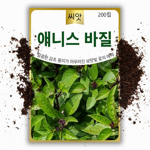 애니스 바질씨앗 200립 달콤한 감초향 Anise Basil 허브 바실 키우기 씨앗