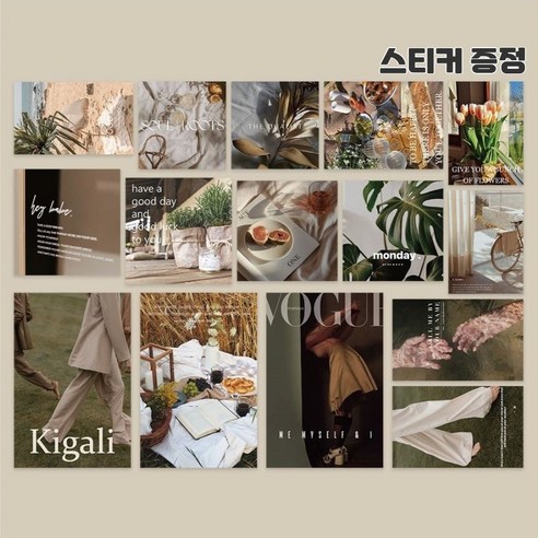 [옵션클루]인테리어 감성 엽서 벽꾸미기 포스터 15장 1세트, 내추럴보그