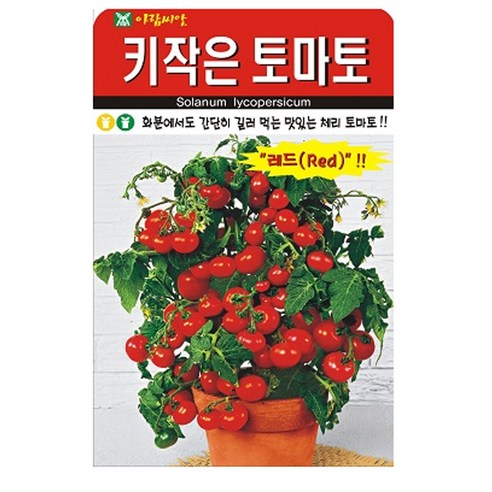 아람종묘 키작은토마토 씨앗, 1개