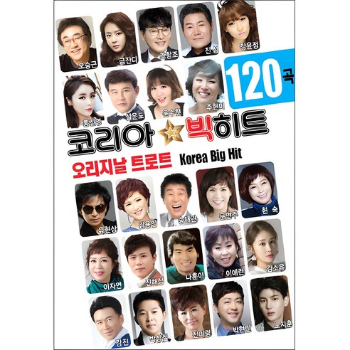 코리아 빅히트 120곡 USB 솔직 독서 후기 | 읽어볼 만할까? 썸네일
