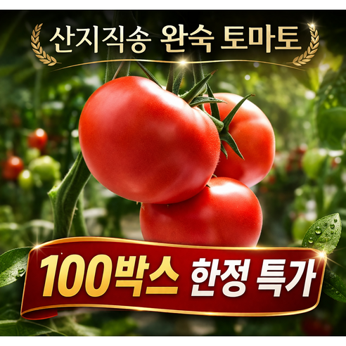 [초특가] 딱 100박스 한정 과즙 가득 산지직송 완숙토마토, 5kg, 1개