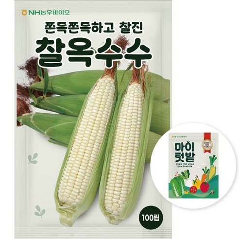NH농우바이오 쫀득쫀득하고 찰진 찰옥수수 씨앗 100립, 1개