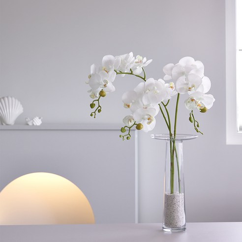 꽃을 꺾지 않아도 아름다움을 누리는 방법 호접란조화