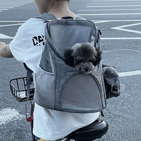 아이와 함께하는 외출, 이제는 더 편안하고 안전하게