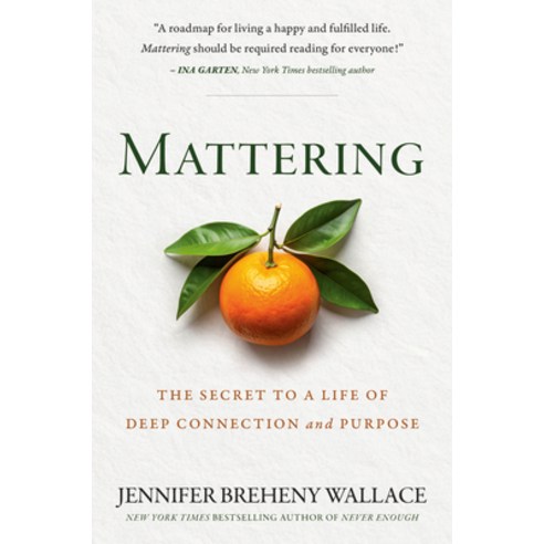 (영문도서)Mattering: The Secret to a Life of Deep Connection and Purpose Hardcover, Portfolio, English, 9780593850596