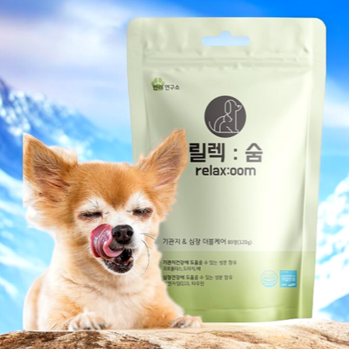 강아지 기관지 협착증 기침 영양제 릴렉숨 솔직 후기 | 실제 사용자 리뷰 총정리 - 상품 이미지 4