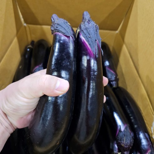 아빠농산 국내산 특품 가지, 5kg, 1박스