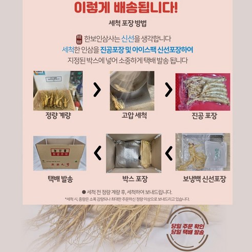 5년근 6년근 삼계탕용 인삼 1인 가정 백숙만들기 인삼 1인분 초복 중복... 실사용 후기 | 효과 있을까? - 상품 이미지 4