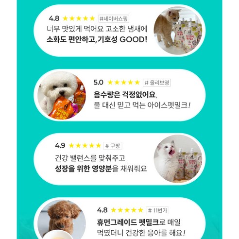 닥터할리 강아지 노견 저지방 펫밀크 우유 락토프리 간식 솔직 후기 | 실제 사용자 리뷰 총정리 - 상품 이미지 3