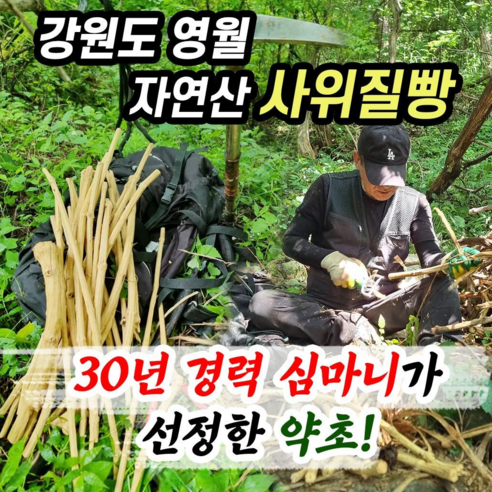 갈채 강원도 영월 청정지역 / 직접 채취한 자연산 100% 사위질빵 건조... 맛있게 먹은 솔직 후기 - 상품 이미지 1