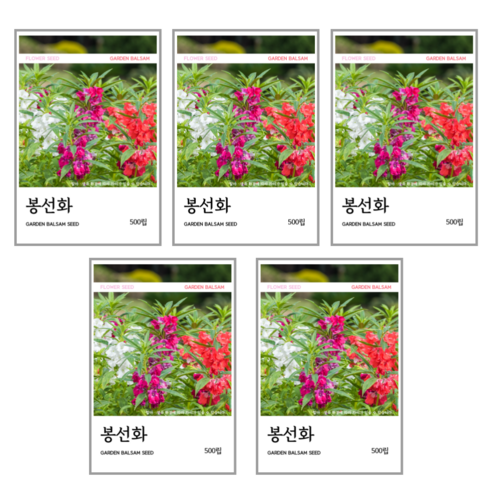 봉선화 씨앗 500립, 5개 5개