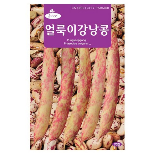 세인화분 얼룩이 강낭콩 70립 - 국산 씨 씨앗 강남콩, 1개