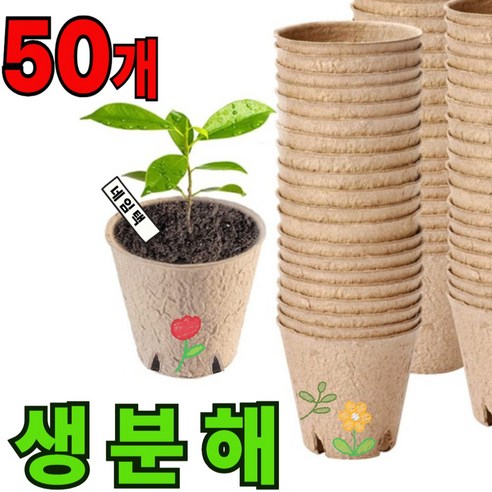 리온드 땅에 바로 심는 친환경 생태 종이화분, 50개, 펄프지