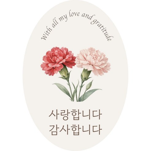 카네이션 감사 포장스티커 원형 하트 타원 정사각 무광아트지, 50개, 혼합색상(타원)