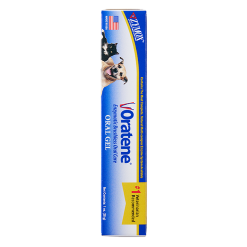 오라틴 안티셉틱 오랄 젤 강아지 고양이 구강 관리 치약 솔직 후기 | 실제 사용자 리뷰 총정리 - 상품 이미지 3