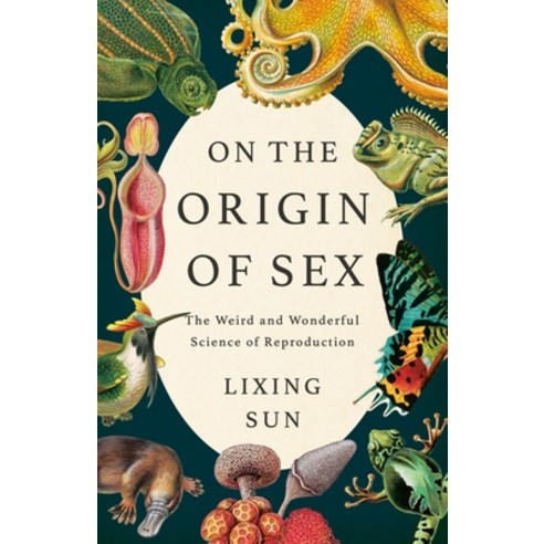 (영문도서)On the Origin of Sex: The Weird and Wonderful Science of Reproduction Hardcover, Basic Books, English, 9781541609174