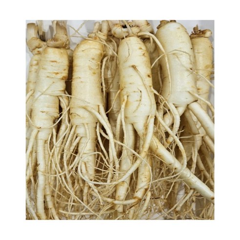 6년근 최상품 풍기인삼 황수삼 200g ~ 800g 세척 인삼 산지직송 ... 실사용 후기 | 효과 있을까? - 대표 이미지