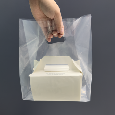 [현진팩] 손잡이 링 PE비닐봉투 20x30(M5), 1세트, 100개