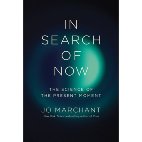 (영문도서)In Search of Now: The Science of the Present Moment Hardcover, Liveright Publishing Corpor..., English, 9781324097488