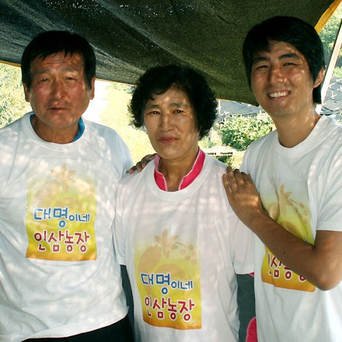 금산인삼 오쿠용 1회분 세척 인삼 수삼 난발 원삼(250g) 이미지 4