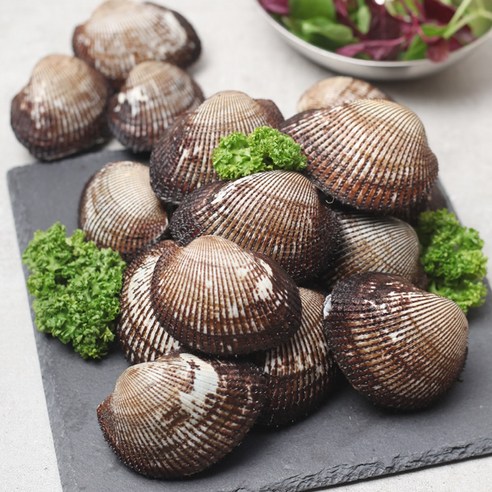 남해안 활 피꼬막 3kg 후기 분석 - 조리 전 깨끗하게 세척된 피꼬막