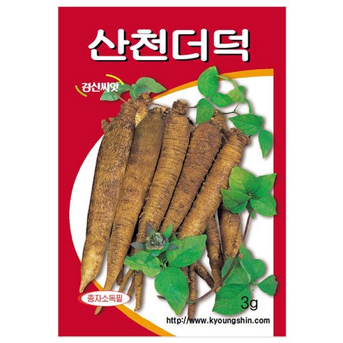세인화분 국산 산천 더덕 3g - 씨 씨앗 더덕씨 더덕씨앗, 1개