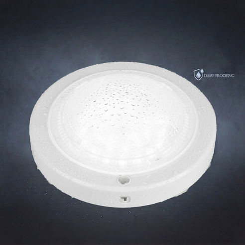 유진 20W LED 현관 센서등 방습형 복도 계단 조명, 주광색, 1개