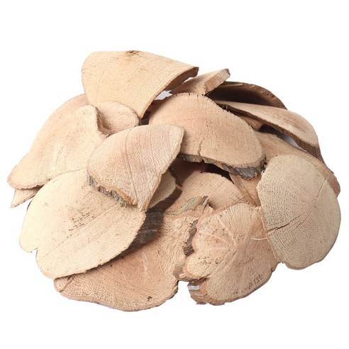 동의한재 국산 자연산 산머루 머루나무 뿌리 300g, 2개 이미지 4
