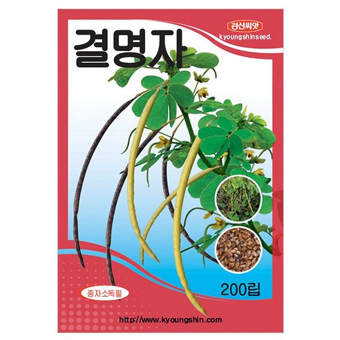 세인화분 국산 결명자 200립 재래종 - 씨 씨앗, 1개